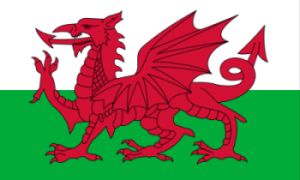 Walisische Flagge